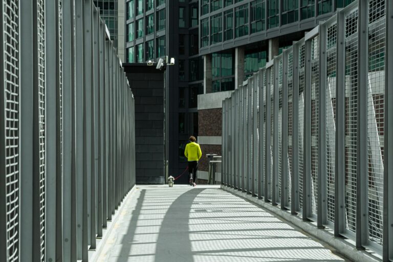 Architectural Steel Guards